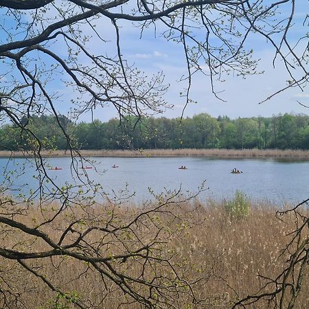 Przystan Natura Iława Dış mekan fotoğraf