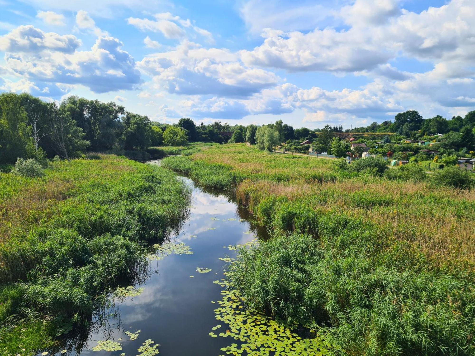 Przystan Natura Iława Dış mekan fotoğraf