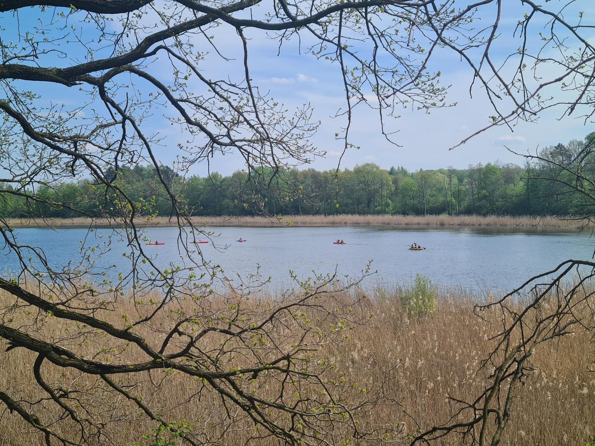 Przystan Natura Iława Dış mekan fotoğraf